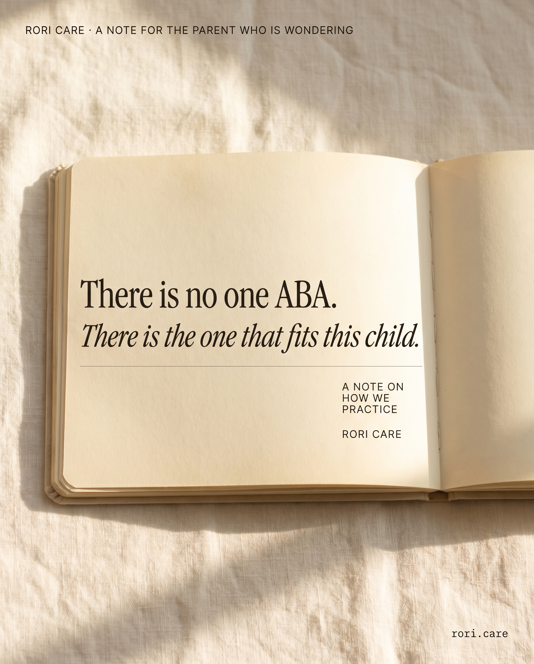 Concept B3 — There is no one ABA. There is the one that fits this child.